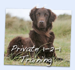 Private 1-2-1 Training